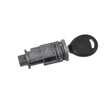 Ignition Lock Cylinder DIY Solutions BSS00274