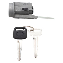 Ignition Lock Cylinder TRQ ILA03900